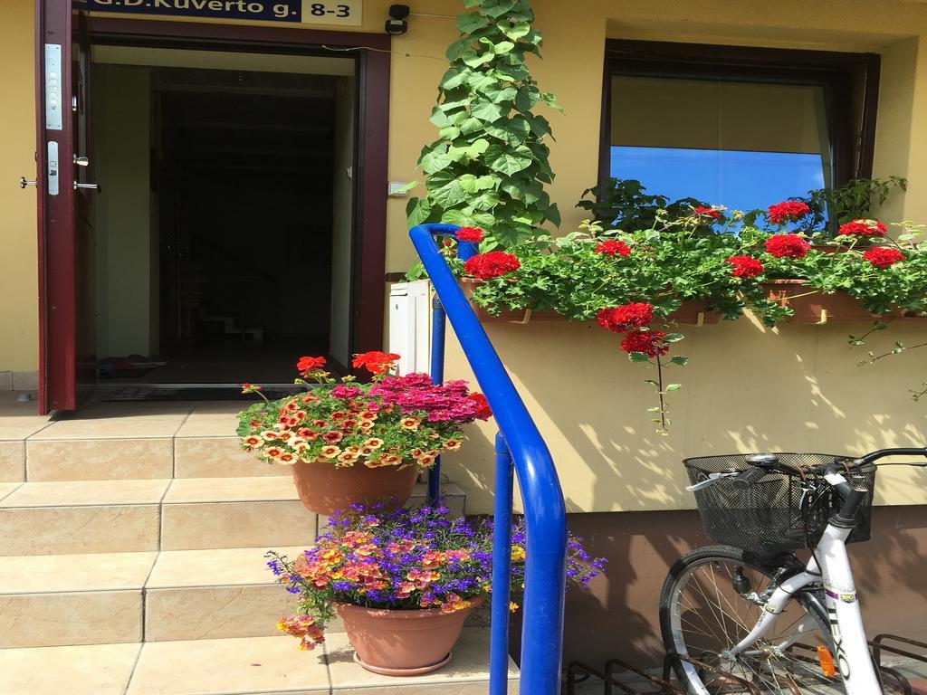 Apartamentai Viktorija Nida Esterno foto
